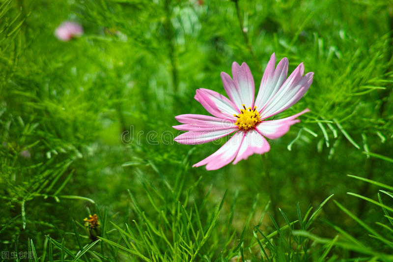 青海大学2021年硕士研究生拟录取名单（二）