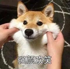 小天才电话手表有没有微信功能,小天才电话手表支持微信吗