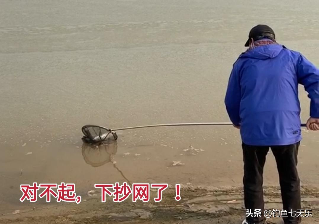 冬钓野河没口,冬季浅水野塘钓鲫鱼没有口
