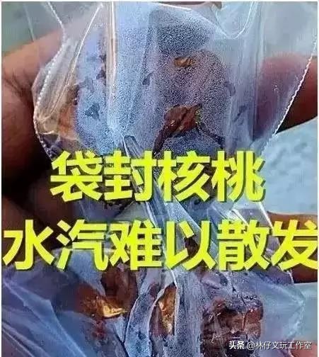 文玩长毛怎么补救,文玩里长毛是什么