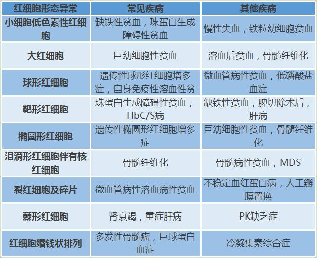 贫血一直补血为什么还是贫血,轻型地中海贫血中度贫血怎样补血