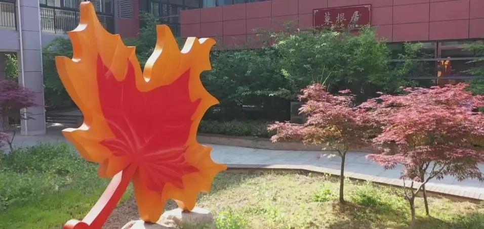 南师附中丁家庄小升初,幼升小指南对话校长