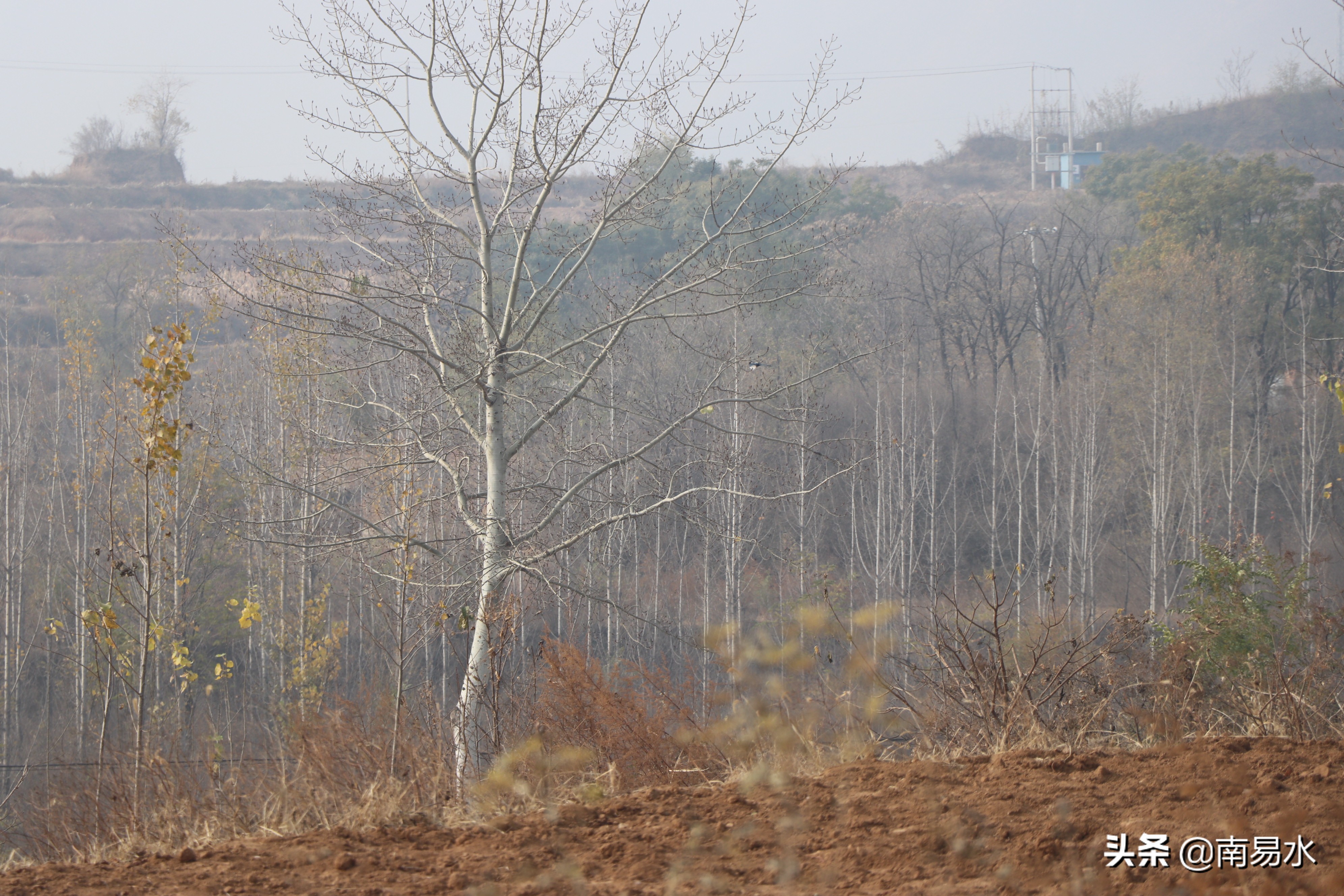 家乡风景带你一起感受自然的味道,令你难以忘怀的家乡的味道