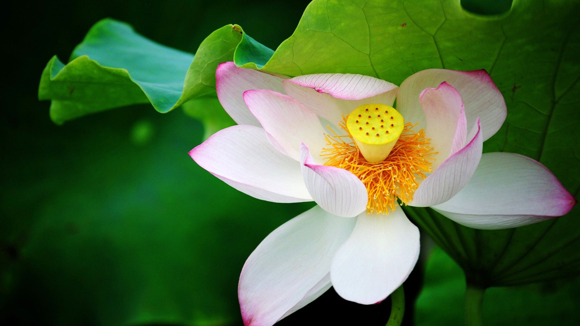 老祖宗的待客之道,驭人之道高深莫测