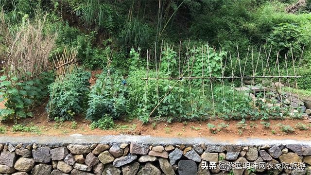 瀹夊悏娉撳彂灞卞簞浠锋牸,瀹夊悏娉撳彂灞卞簞浠嬬粛