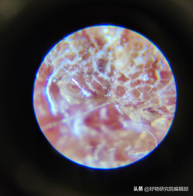 小米便携式显微镜,堪比望远镜的手机2000以下