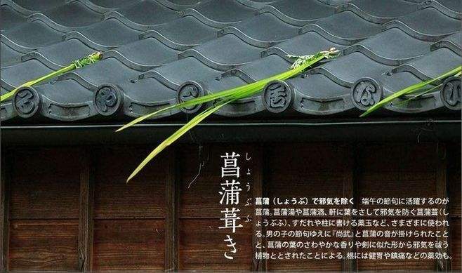 离开中国，德国人划龙舟最起劲？这些国家也爱过端午