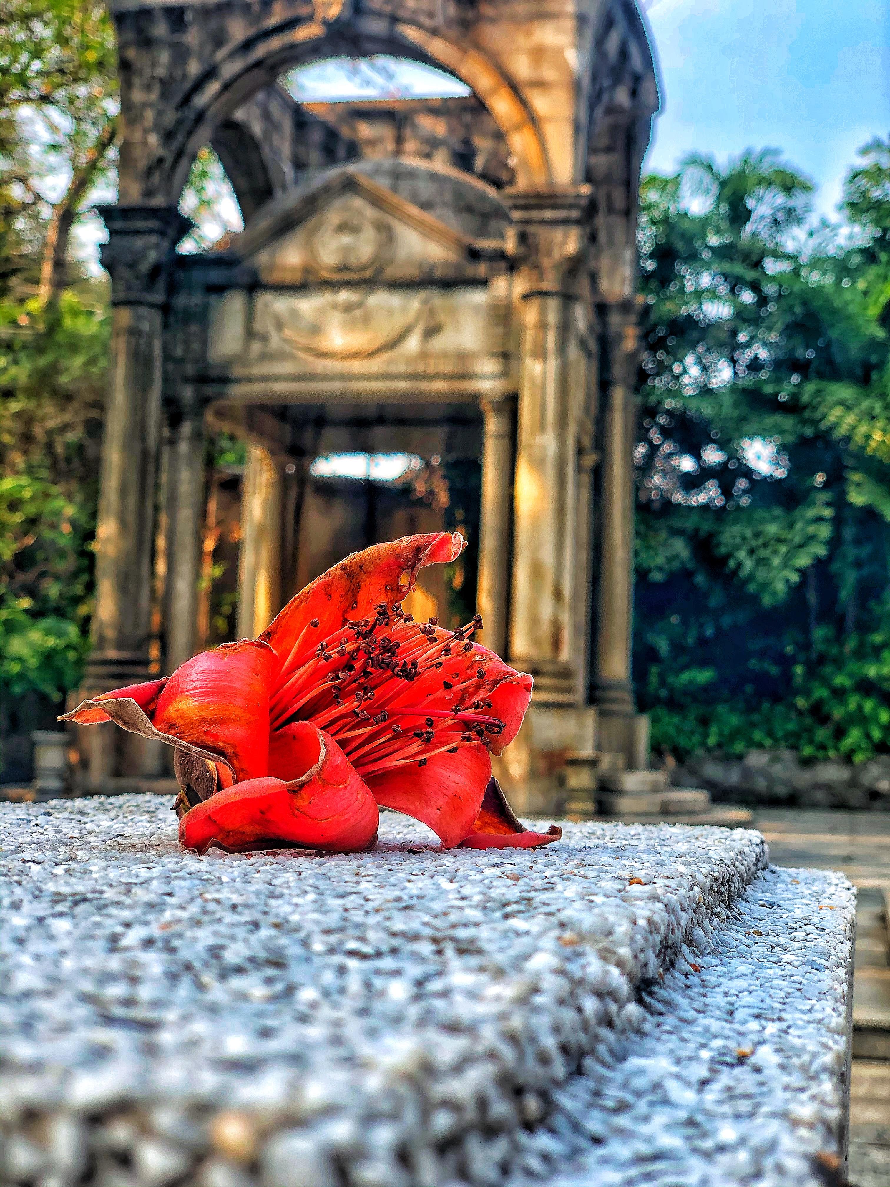 久违的越秀公园,越秀公园蓝天白云