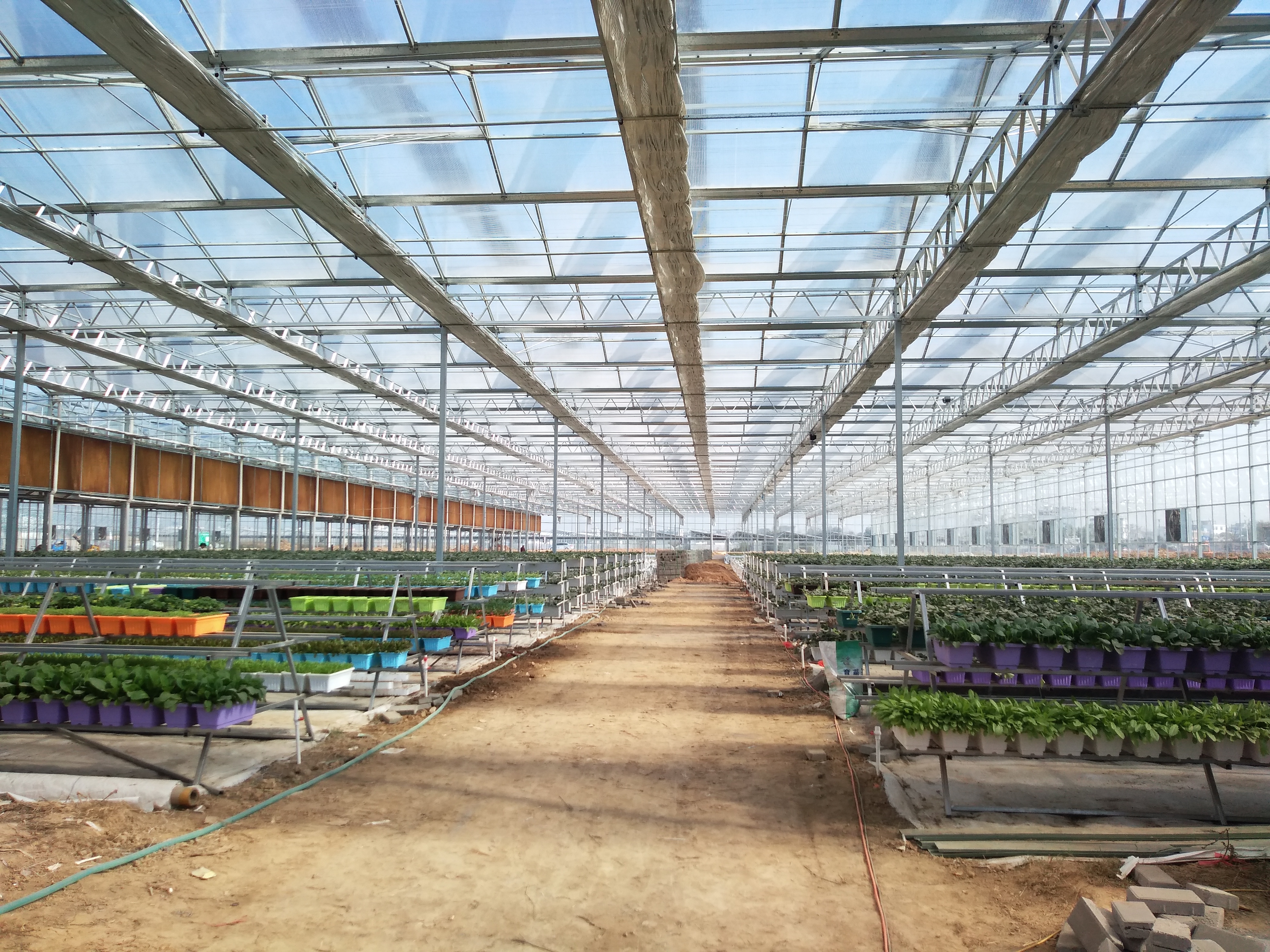 普通温室大棚一亩地造价多少,一亩全自动温室大棚要多少钱