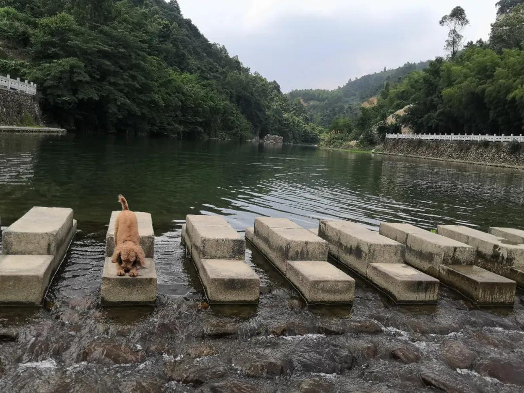 我要去旅行英文,我要去旅行完整版