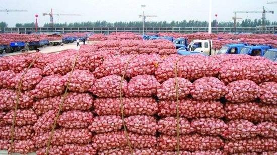 杰哥观市：2019年5月10日大蒜价格行情库蒜偏弱趋跌新蒜量大价弱