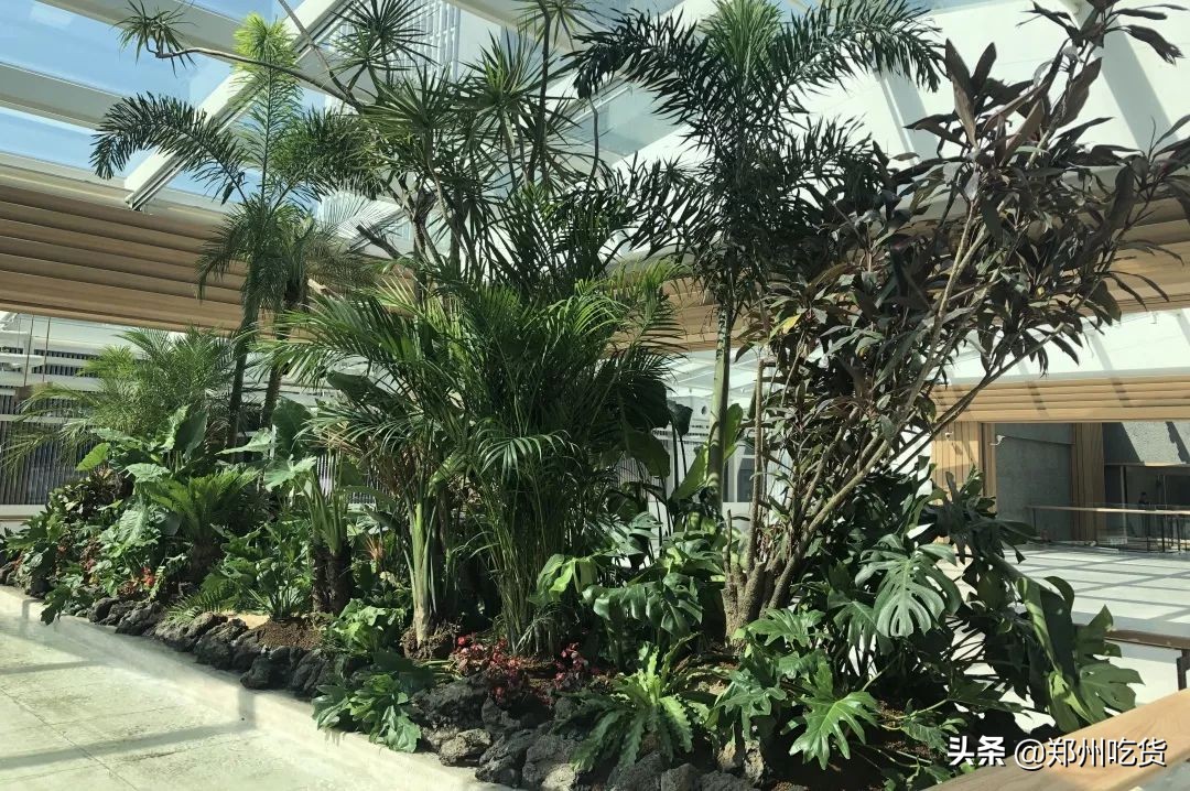 还有1天，十一假期我已经为你安排好了，来这里准没错