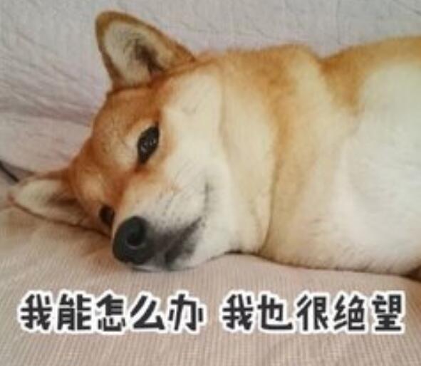 翡翠原石入门必踩十大坑,翡翠入坑