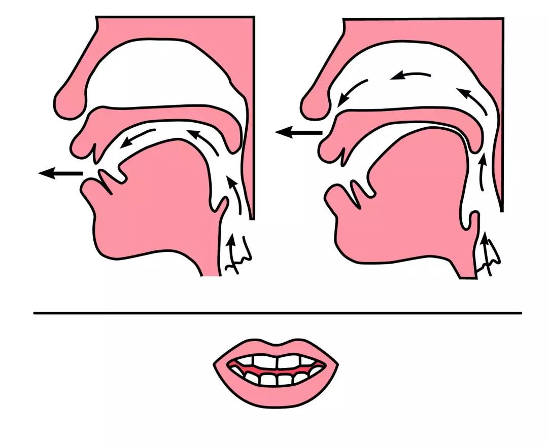 小学拼音前鼻音与后鼻音的区别,小学拼音前鼻音后鼻音怎么区分
