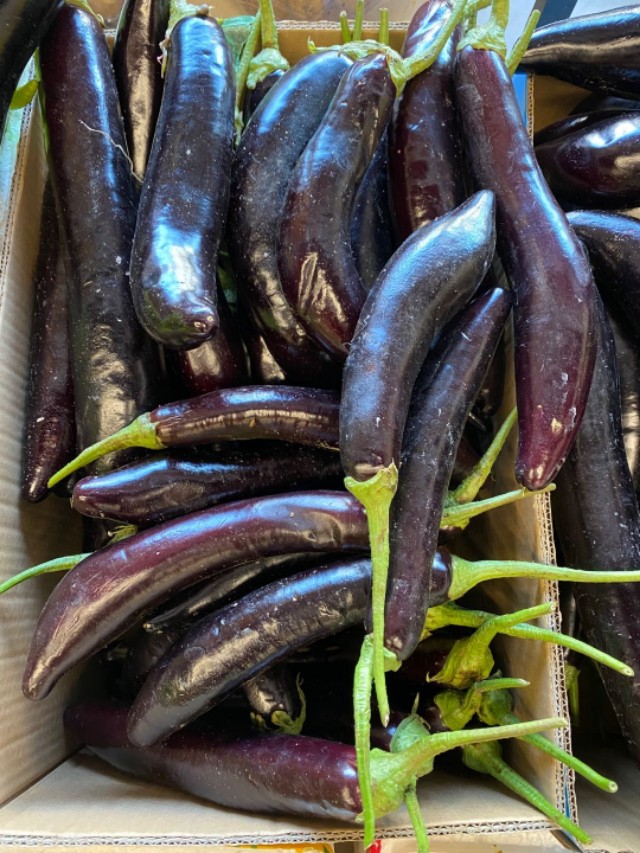 代购蔬菜免费送货,免费代购的食品