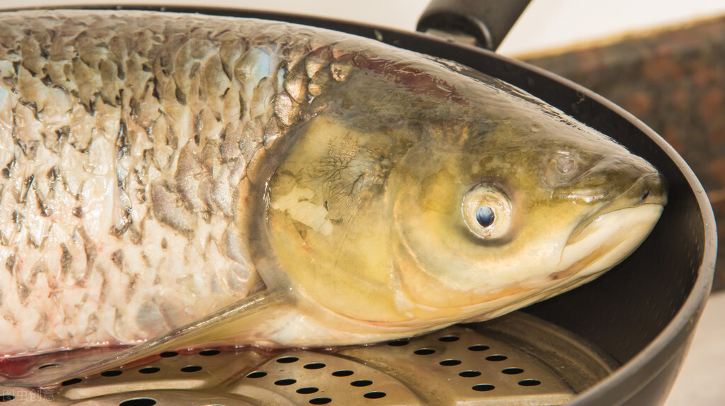 可视锚鱼在什么区域不违法,锚鱼在禁鱼区没锚到严重吗