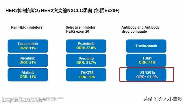 肺癌基因一类二类三类突变解读,肺癌基因突变才能靶向治疗