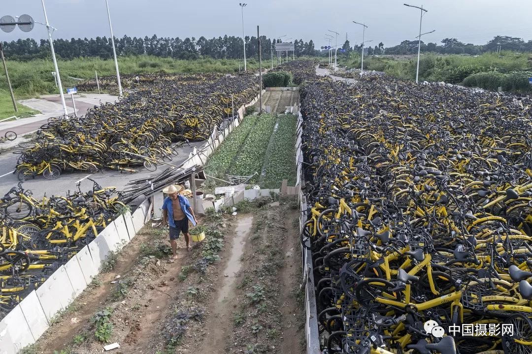第七届全国摄影十杰获奖者,中国摄影年度人物排名