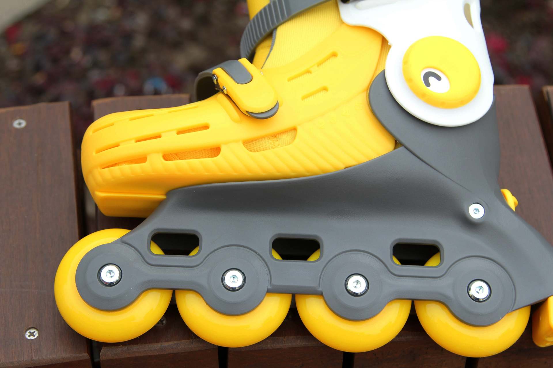 启蒙运动课趣味,启蒙运动的课程