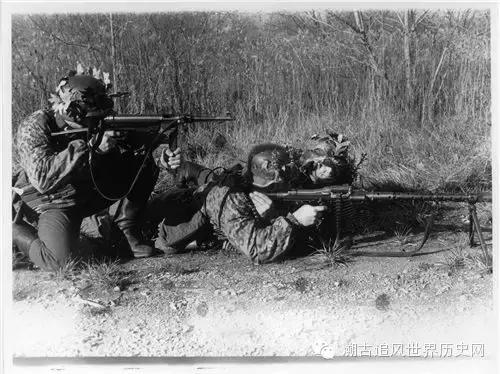 恐怖的骷颅——*党**卫军第三装甲师