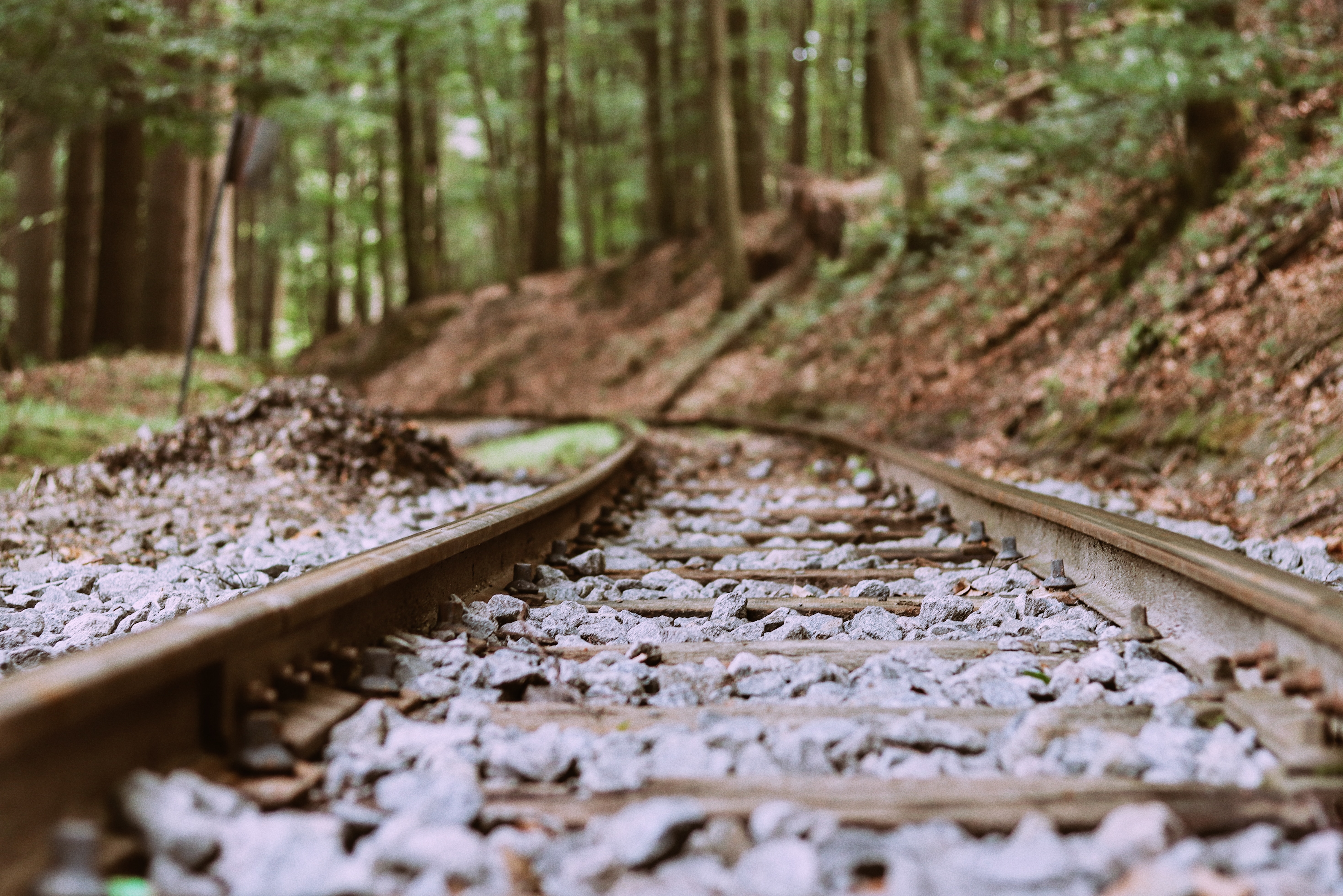 世上最大的谎言就是放下,世间最大的谎言就是为你好