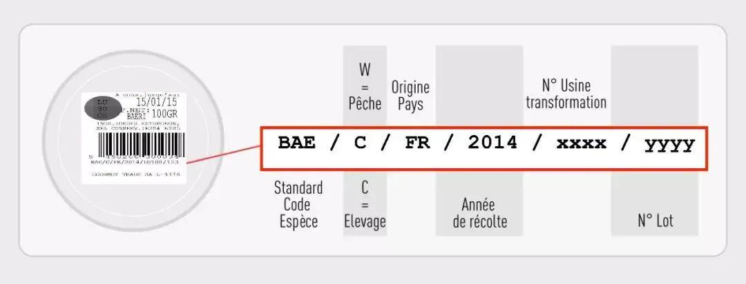 除了贵没有别的毛病,鱼子酱在哪里一点也不奢侈