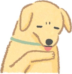 狗狗得了趾间炎听听养狗人怎么说,养狗10年才知道狗狗的3种居家检查