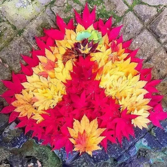 用枯枝落叶做成的简单艺术品,幼儿园秋天的落叶艺术品