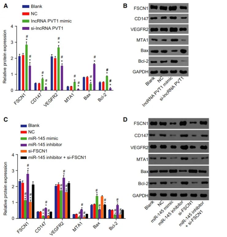 郑州大学附属肿瘤医院,郑州肿瘤医院论文