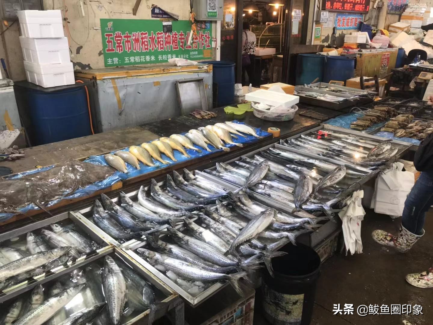 鲅鱼圈鞍钢海鲜市场,鲅鱼圈鞍钢小市场