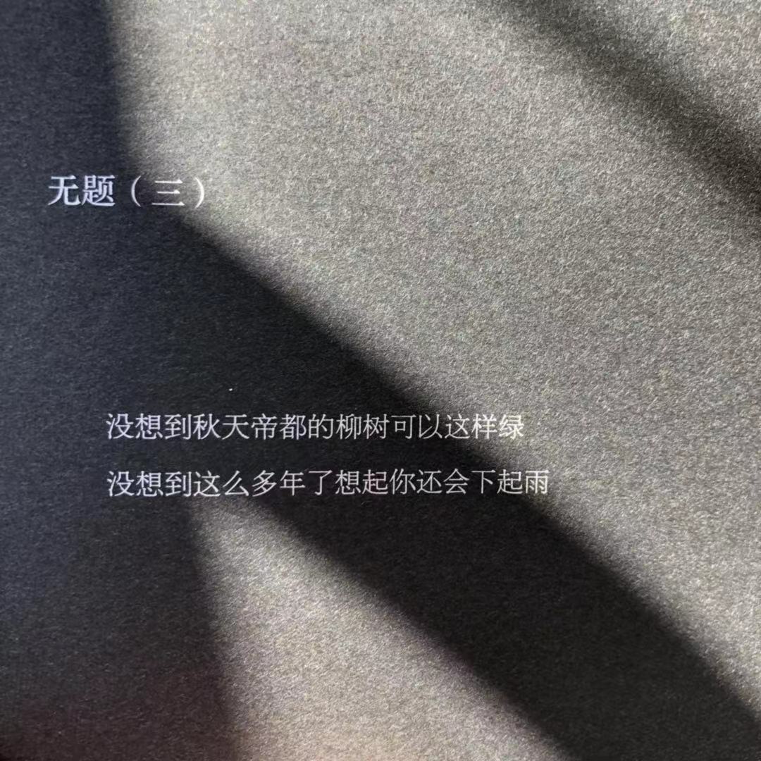 树洞的自我修养方法,给你留个树洞的感悟