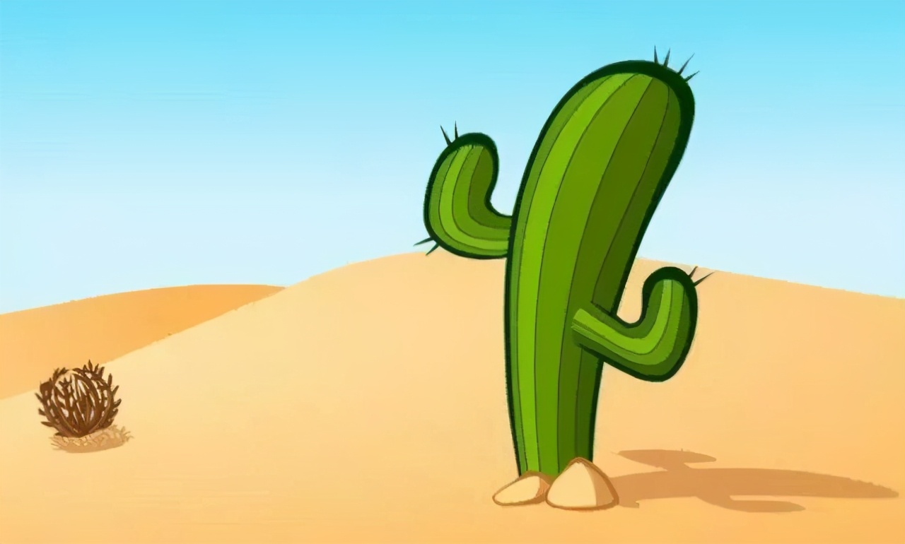 仙人掌要怎么养才能结果,仙人掌怎样才长叶子