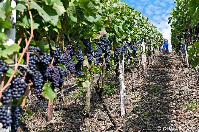 余庆这里，给你想要的私人订制，请签收！