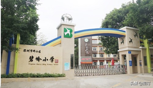 深圳坪山小学排名2019,深圳坪山小升初小学排行榜