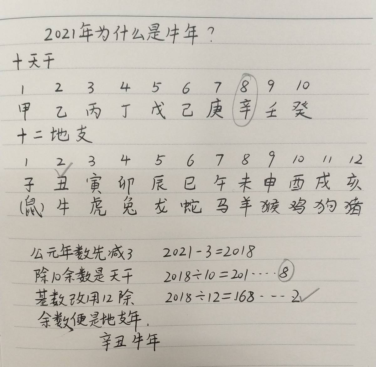 辛丑牛年好不好,辛丑牛年为什么短