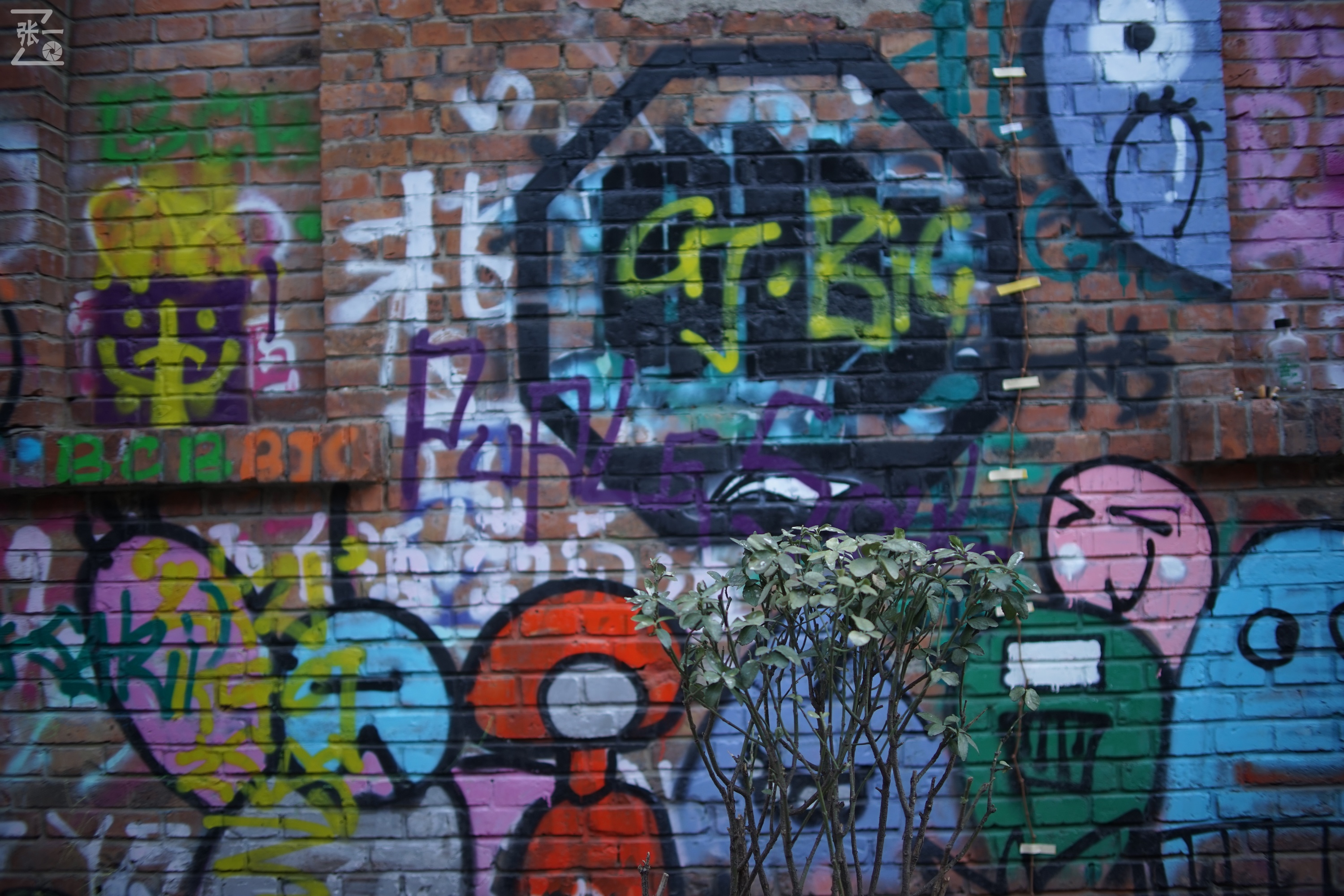 国产中一光学35/2镜头+索尼微单实拍北京798艺术区