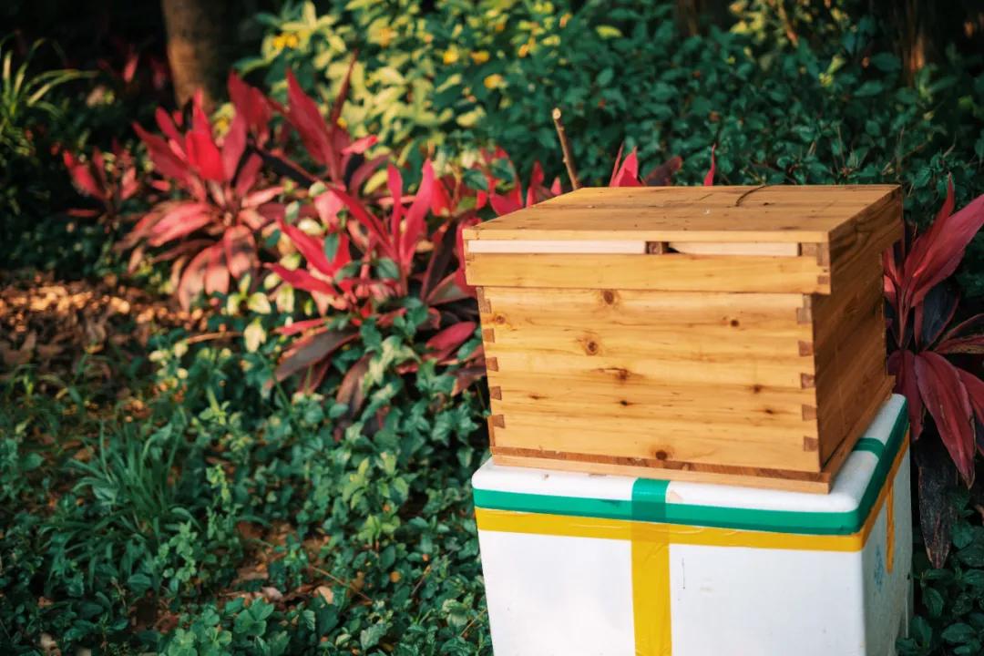 西双版纳蓝孔雀江景主题酒店,西双版纳告庄双景酒店攻略