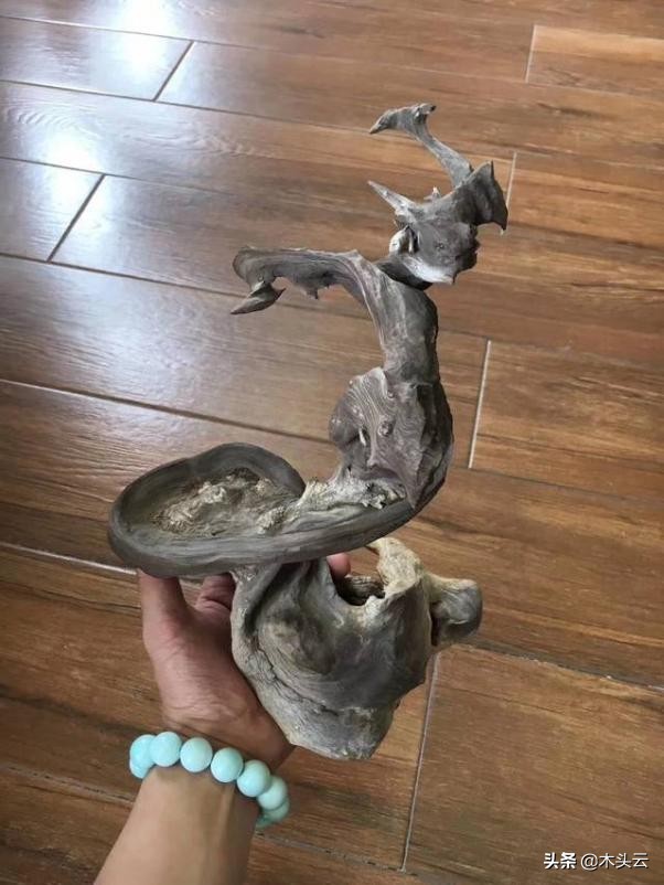 木材本身什么味道,未见其木先闻其味什么意思