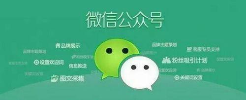 盛派微信公众号开发,微信公众号开发需要多少钱