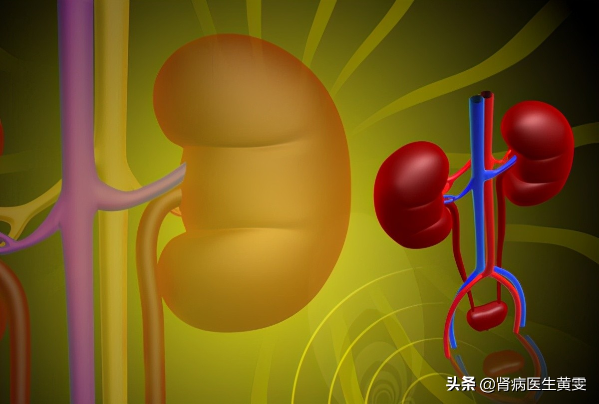 肾衰治疗一个月肌酐570降到400,慢性肾炎长期用药控制会肾衰吗