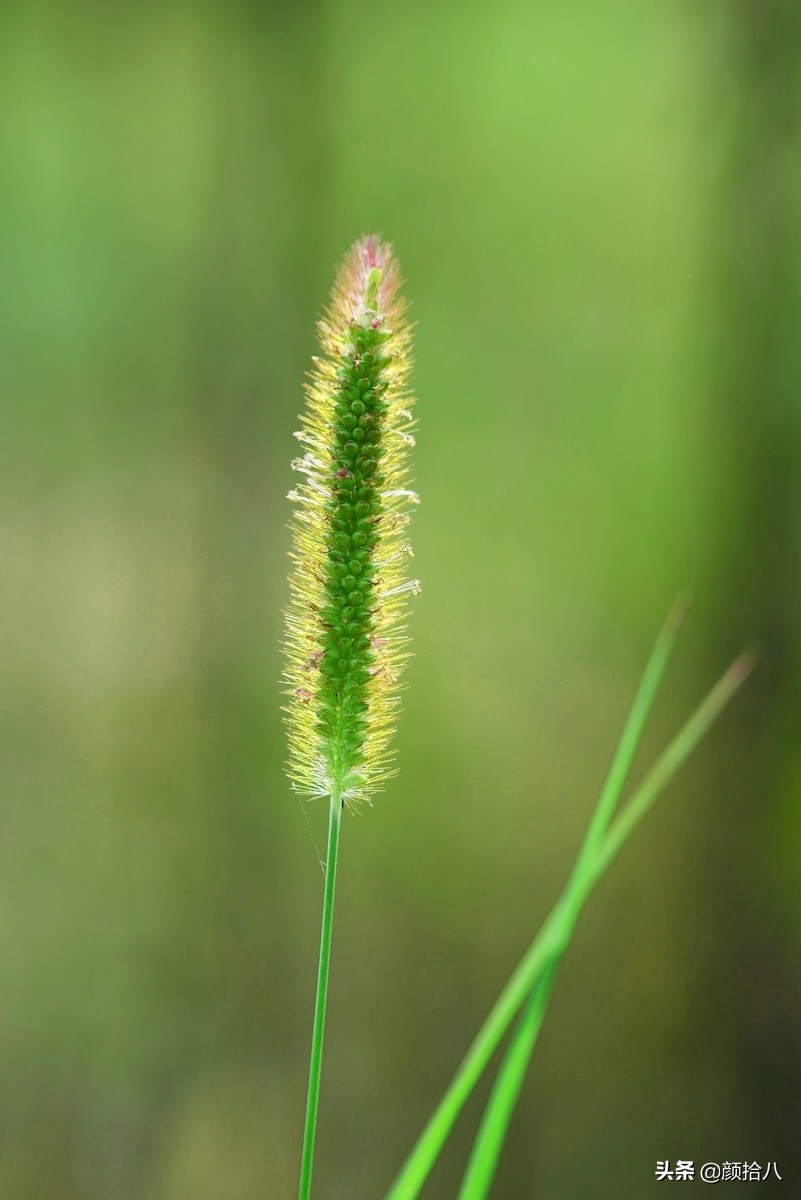 北京圆明园一日游推荐,圆明园秋色如画