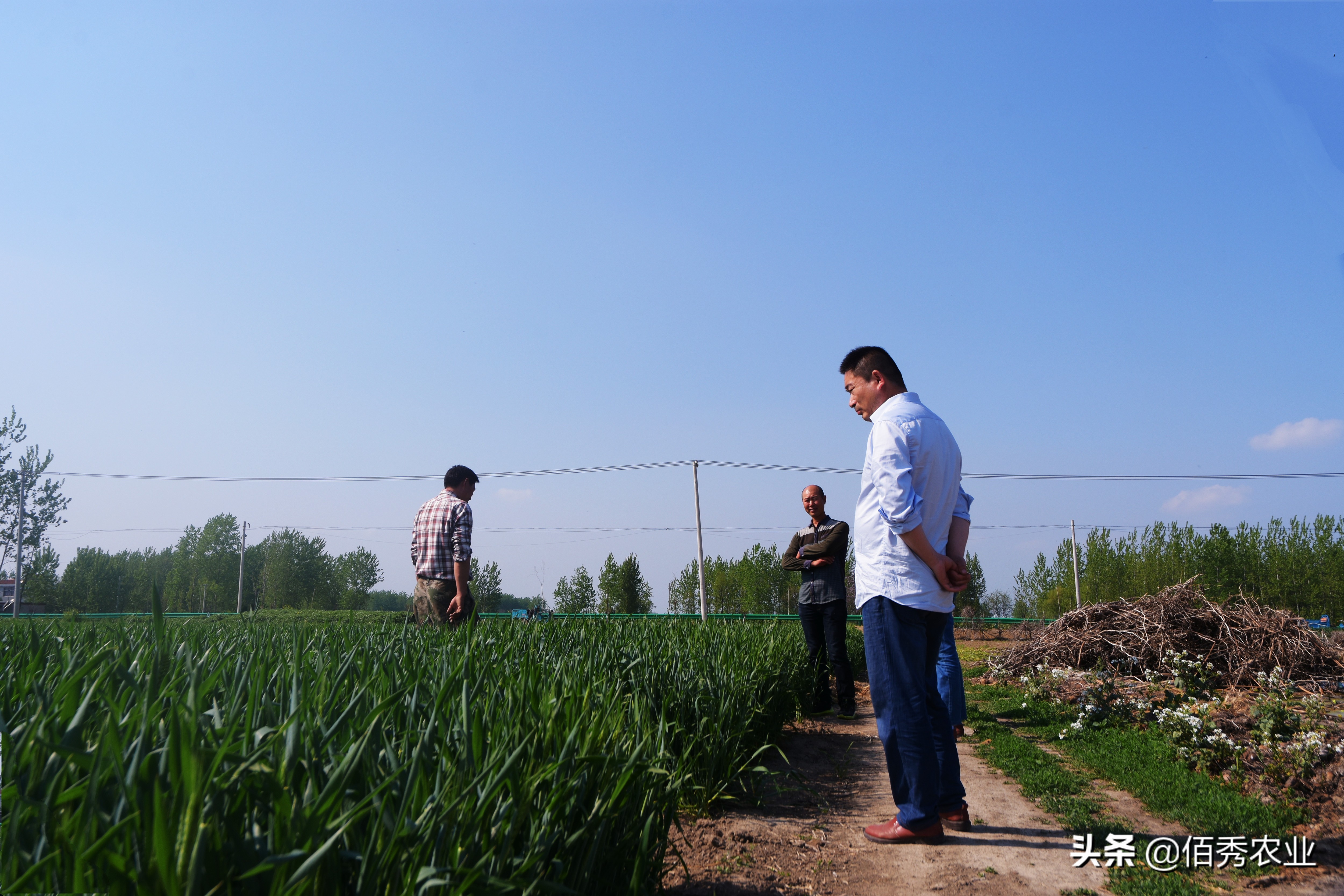 农村打工怎么样才能赚钱,自己外出打工的农民每天赚钱不少
