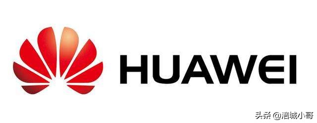 绵阳本地前十电子信息企业,电子信息产业集群有哪些城市