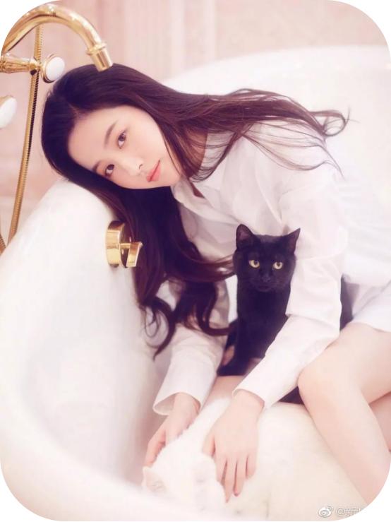 海藻卷发型好打理吗,海藻卷发型中发