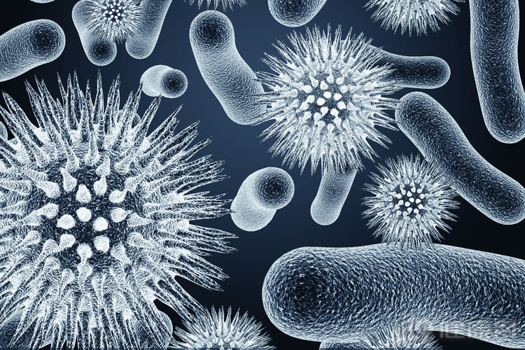 为什么男性容易患肛周脓肿,为什么男性更容易得肛周脓肿呢