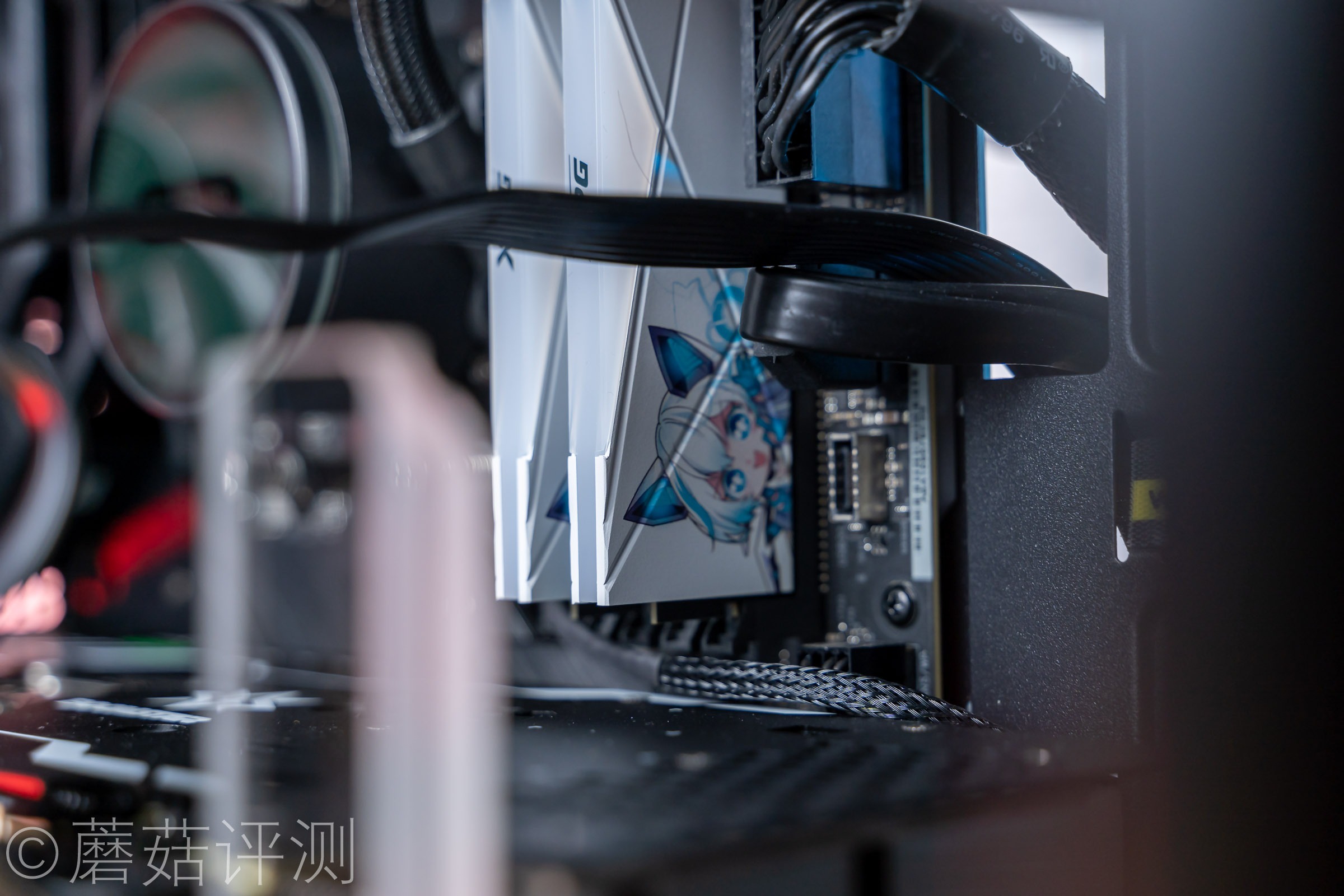 威刚龙耀d50吹雪联名用的什么颗粒,龙耀d50吹雪和普通版有什么区别