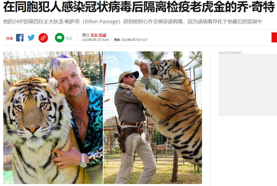 疫情中全美国都在安利这疯子电影