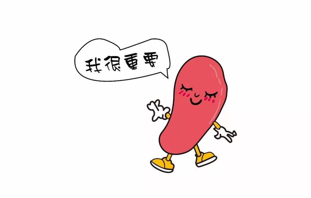 通过痛的位置（肚子、小腹、腰部），来给自己看病