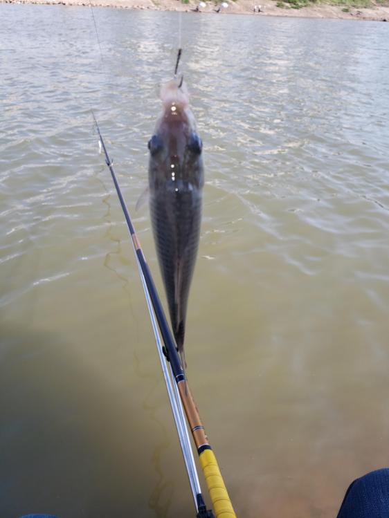 金迦潘钓杆,金迦潘求败渔具好用吗