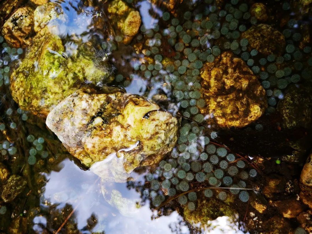 一起爬山吗?西安这些山不仅野,还不要钱~